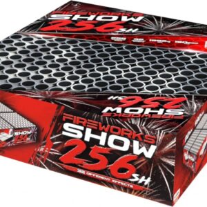 Fireworks show 256